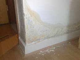 What is Rising Damp?