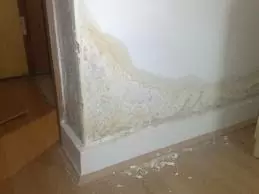 What is Rising Damp?