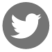 Twitter Icon